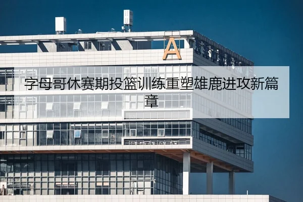 字母哥休赛期投篮训练重塑雄鹿进攻新篇章